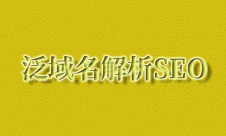 SEO泛域名解析