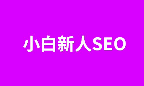 小白如何学好SEO