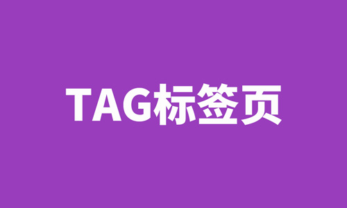 TAG标签